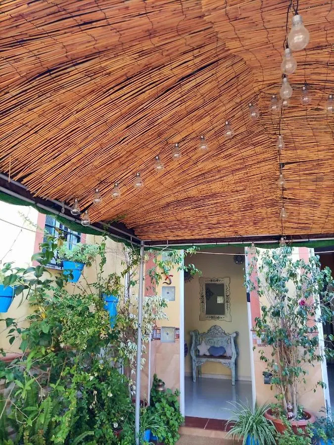 Homestay Cool Garden And Suite Mairena del Aljarafe Spain