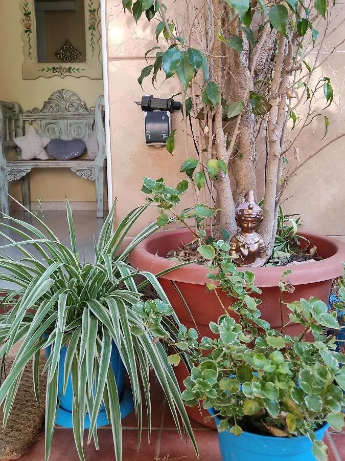 Cool Garden And Suite Mairena del Aljarafe 0*,  Spain